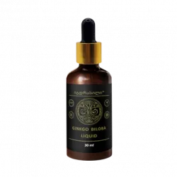 Gingko Biloba ყიდვა — საქართველოში შესყიდვა — ფასი 115 ლარი